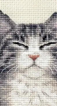 Fido Stitch - Grey Tabby Cat Kitten