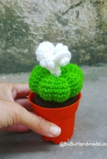 Amigurumi Cactus mini 7