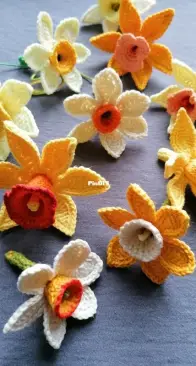 Heegeldab- Daffodils - English