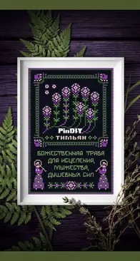 Thyme - Herb Garden - Part 16 of 20 by Svetlana Boyko