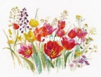 Alisa 2-34 - Field Tulips