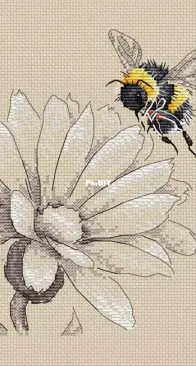 Bumblebee and marigold b&w  by  Svetlana Shakhnovich
